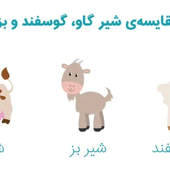 تفاوت شیرگاو ،گوسفند وبز از نظر خواص و طعم
