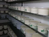 لوازم ماست بندی سنتی و نیمه صنعتی