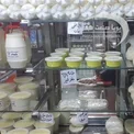 ماست بندی 500 لیتری نیمه صنعتی
