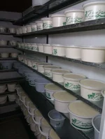ماست بندی