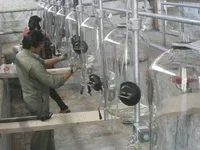 شیردوش ثابت