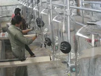 شیردوش ثابت