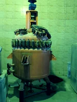 stainless steel reactor
