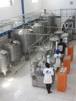 خط تولید ماست بندی
