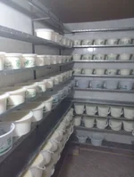 ماست بندی